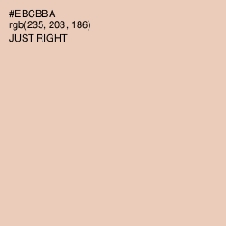 #EBCBBA - Just Right Color Image